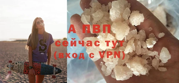 прущие крисы Магадан