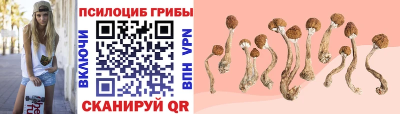 Галлюциногенные грибы Psilocybine cubensis  Пермь 